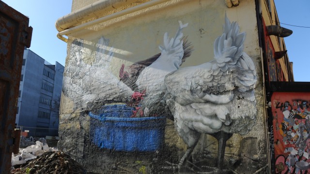 SZ-Serie: Streifzüge durch die Stadt: Matthias Mross malt gerne überdimensionale Hühner.