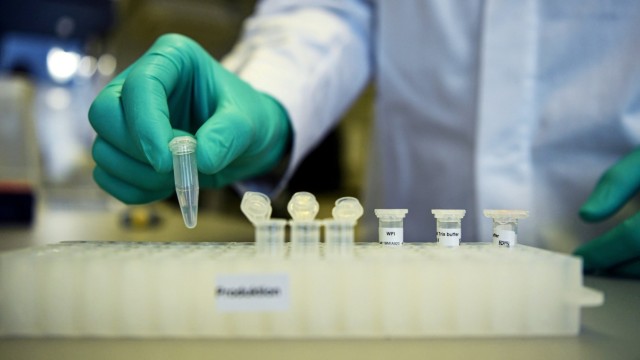 FILE PHOTO: Employee Philipp Hoffmann, of German biopharmaceutical company CureVac, demonstrates research workflow on a vaccine for the coronavirus (COVID-19) disease at a laboratory in Tuebingen