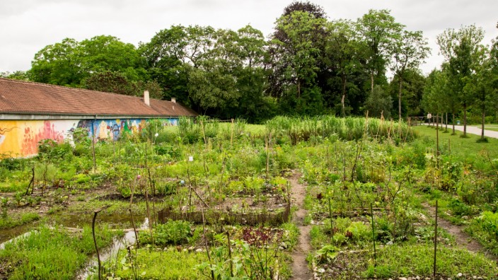 Gemeinschaftsgärten "Essbare Stadt": 50 Euro für zwei Quadratmeter Beet: Die Paten der Gemeinschaftsgärten der "Essbaren Stadt" können das ganze Jahr Gemüse anbauen.