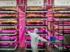 Japanese Vertical Farm Company Grows Food of the Future