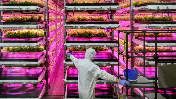 Japanese Vertical Farm Company Grows Food of the Future
