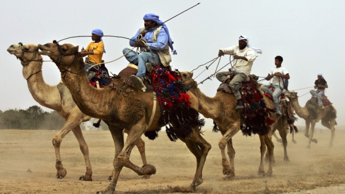 Umwelt: Beduinen während eines Kamelrennens in der Negev-Wüste.