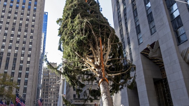 Weihnachtszeit: Beobachter konstatierten, der Rockefeller-Baum passe mit seiner Gerupftheit doch gut zu diesem schwierigen Jahr.