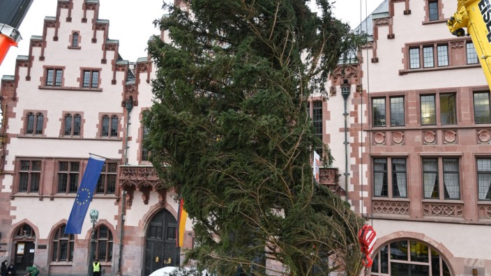Frankfurter Weihnachtsbaum wird aufgestellt