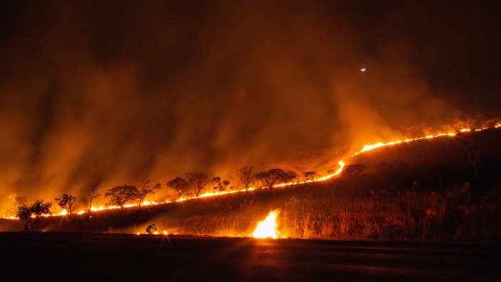 Europäische Union: Waldbrand in Brasilien: Kritiker fürchten, dass der Handelsvertrag der EU mit Südamerika zu mehr Brandrodungen führt.