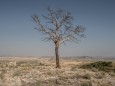 Climate Change Warnings As Southern Spain's Deserts Expand Due To Drought