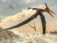 Studie identifiziert die rätselhaften Vorläufer der Flugsaurier; Flugsaurier