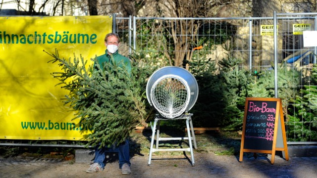 Vorweihnachtszeit: Beim Milchhäusl im Englischen Garten gibt's keine Christbäume mehr zu holen, erzählt Betreiber Axel Bansemir.