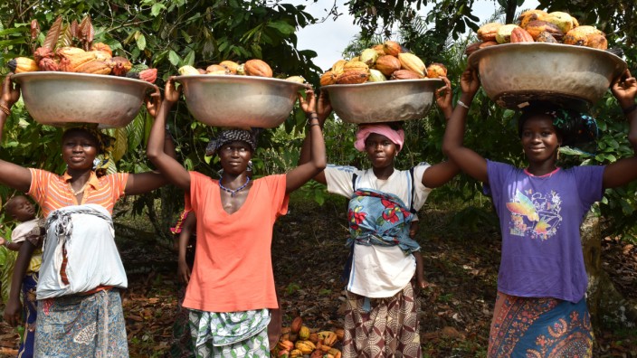 Kakao: Junge Frauen in einer Kakaoplantage im afrikanischen Staat Elfenbeinküste. Das Anbauland setzt sich für eine bessere Bezahlung für die Beschäftigten der Branche ein.