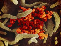 Mutiertes Coronavirus: Kaum zu kontrollieren
