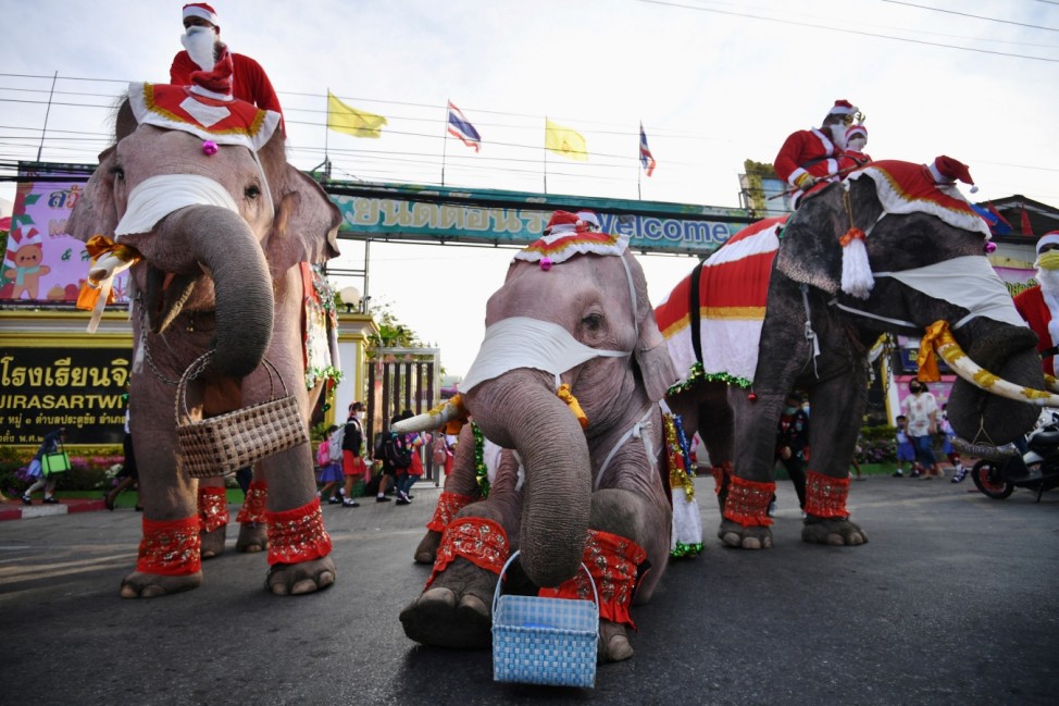 Mahouts dress elephants as Santa Claus to help distribute face masks to students, in an effort to help prevent the spread of the coronavirus disease (COVID-19), ahead of Christmas celebrations at a school in Ayutthaya