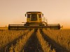 Soybean harvest, near Lorette, Manitoba, Canada PUBLICATIONxINxGERxSUIxAUTxHUNxONLY acp46139