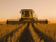Soybean harvest, near Lorette, Manitoba, Canada PUBLICATIONxINxGERxSUIxAUTxHUNxONLY acp46139