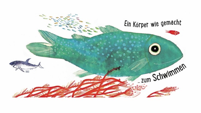 Sachbilderbuch: Illustration aus Lucia Scuderi: Lerne uns kennen. Die Fische