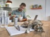Cat lying on book while businessman eating noodles when working at home model released Symbolfoto property released VEGF