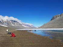 Erderwärmung: Erderwärmung könnte Antarktis ergrünen lassen