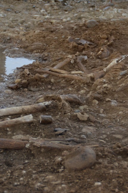 Archäologie in Poing: Das Archäologenteam fand Reste von Wohnhäusern und eine Nekropole.