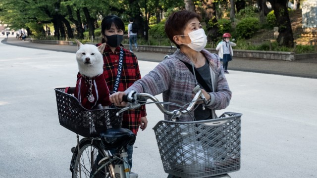 Hunde in Japan: Hundemode liegt im Trend in Japan.