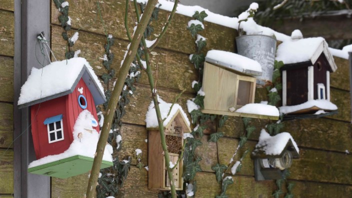 Heimische Vögel: Leerstand: Viele Vogelhäuschen bleiben in diesem Winter im Landkreis Dachau unbewohnt.