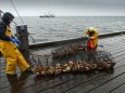 Scottish Fishers Demand Compensation From The UK Government Due To Post-Brexit Losses