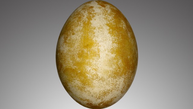 SZ-Serie: Vogelwuid - Ein Geier zieht aus: Bartgeier-Eier sind faustgroß, beige-braun gefleckt und 200 Gramm schwer.