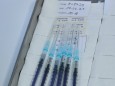 Sechs Spritzen, gefüllt aus einer Flasche Impfstoff von BionTech - Pfizer liegen bereit. Bayerisches Impfzentrum Augsbur