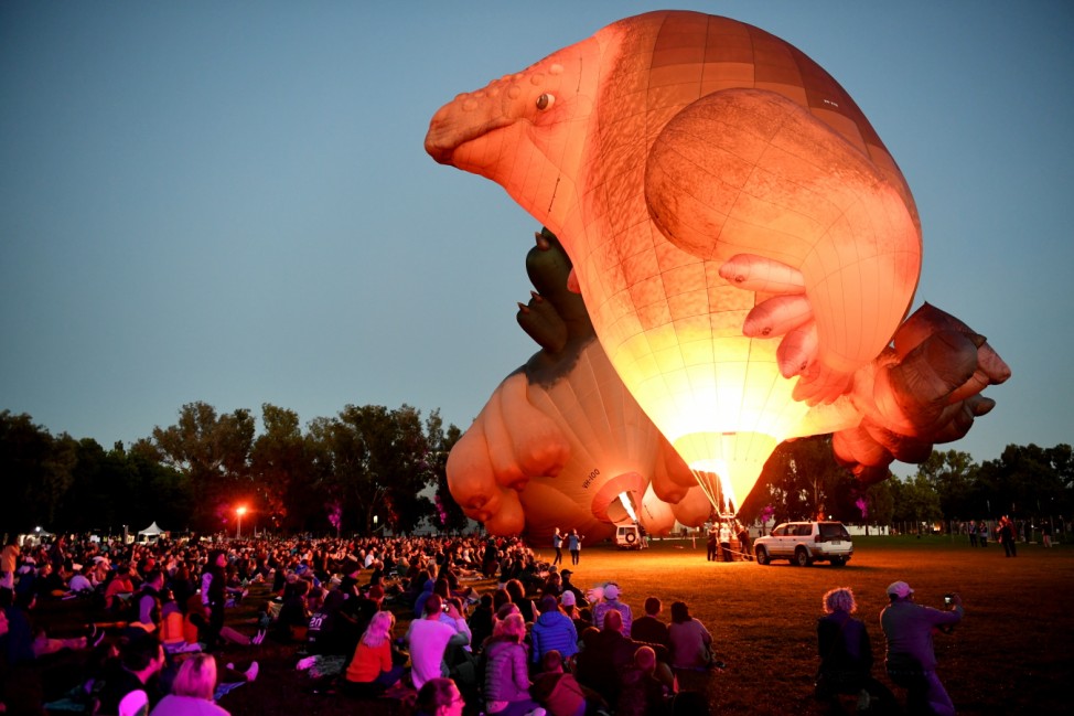 BESTPIX: Skywhalepapa Hot Air Balloon Flies Over Canberra In World Premiere