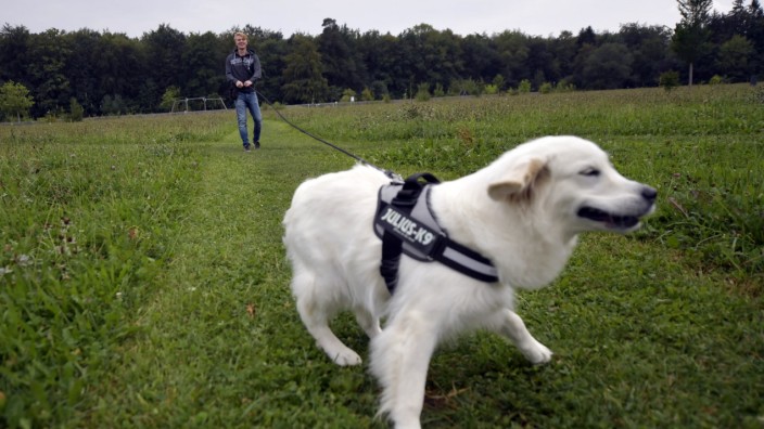 Grünwald: Dieser Hund ist an der Leine. Doch viele Leute nutzen die große Freifläche, um die Vierbeiner frei laufen zu lassen.