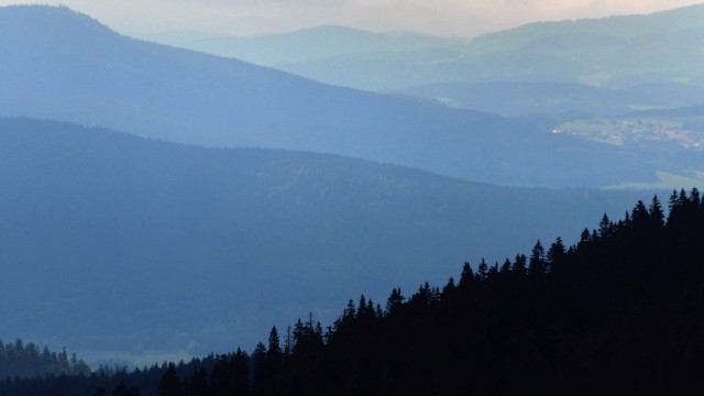 Naturpark Bayerischer Wald feiert 40-jähriges Bestehen