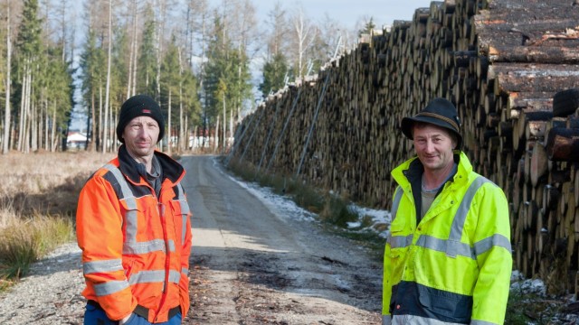 Forstwirtschaft: Die Brüder Martin und Josef Lohmair koordinieren das Forstinninger Nasslager.