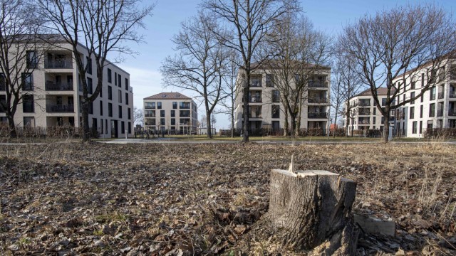Natur und Umwelt: Im Haarer Jugendstilpark kämpfen Baumschützer seit längerem für den Erhalt des Bestands.