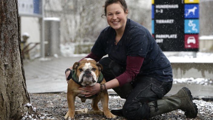 Hundehaltung: Wegen der vielen Vermittlungsgespräche hat Tierpflegerin Charlotte Bonvecchio kaum noch Zeit für die Hunde.