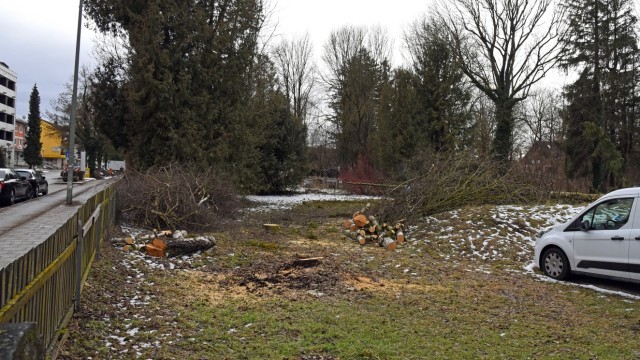 Urban-Progress-Gründer: Die Bahnhofstraße in Gröbenzell im Februar 2021 mit frisch gefällten Bäumen.