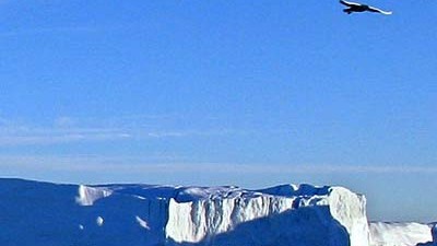 Klimawandel: Die Eisdecke auf Grönland hat 2007 ein Volumen von 101 Kubikkilometern verloren.