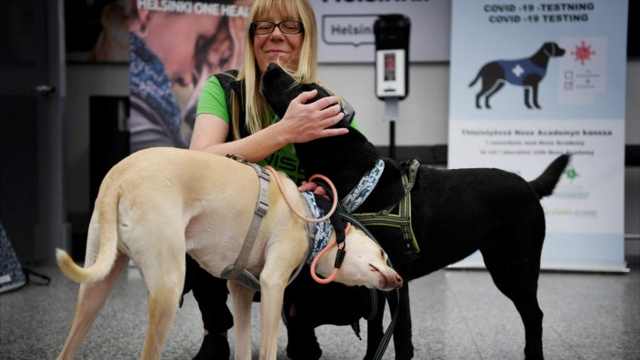 Corona-Spürhunde: Die Hunde Kössi (links) und Miina können Corona-Infizierte am Geruch erkennen.