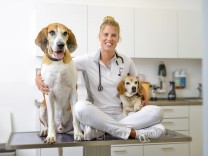 Haustiere: „Auch Hunde können zu wenig soziale Kontakte haben“