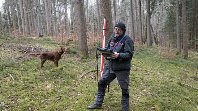 Bilanz des Waldzustands: Revierleiter Gerrith Hinner erstellt Forstliche Gutachten, mit tierischer Unterstützung von Hund "Aramis".
