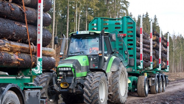 Forstwirtschaft: Start der Lieferkette: In diesen Tagen werden letzte Fichtenstämme aus dem Nasslager des Ebersberger Forsts zu Sägewerken transportiert.