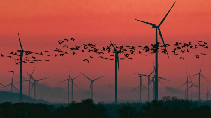 Klima- gegen Artenschutz: Kraniche ziehen vor einem Windpark im thüringischen Straußfurt vorbei. Auf ihren Zugrouten rasten die Vögel häufig in Mitteldeutschland.