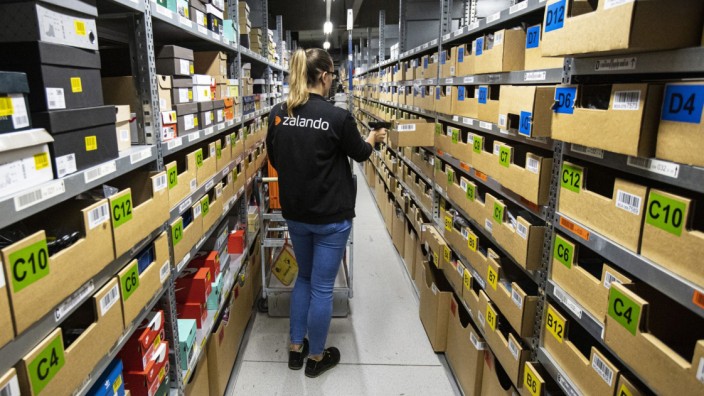 Online Shopping Order Handling at a Zalando SE Logistics Center