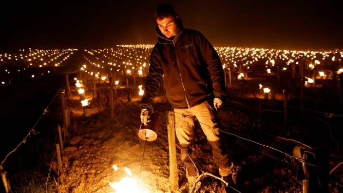Chablis winemakers light up candles, heaters to save vines from frost