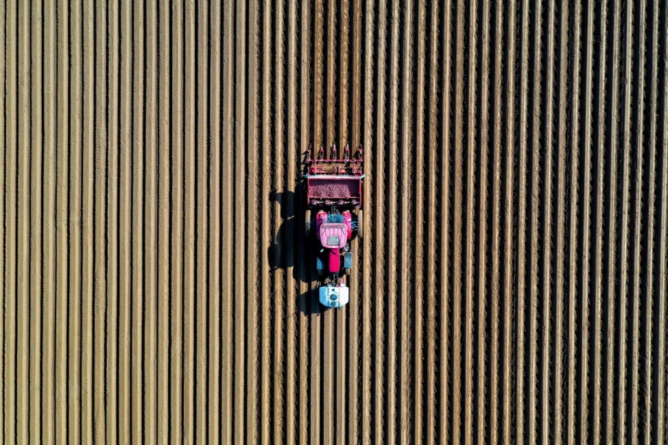 A farmer drives a tractor in his field while planting potatoes in Tilloy-lez-Cambrai, near Cambrai