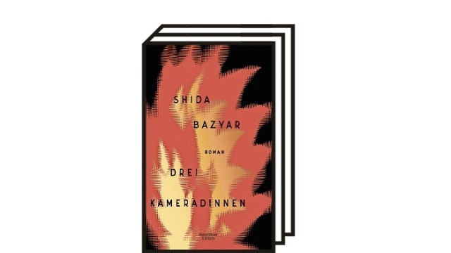 Shida Bazyars Roman "Drei Kameradinnen": Shida Bazyar: Drei Kameradinnen. Roman. Kiepenheuer & Witsch, Köln 2021. 350 Seiten, 22 Euro.