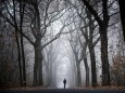 Ein Mann spaziert an einem nebeligen Morgen in Jaenkendorf 13 11 2016 Jaenkendorf Deutschland PUBL