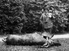 Hermann Göring mit einem erlegten Elch, 1933