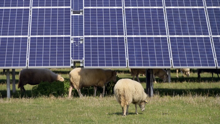 Garching: In Unterhaching betreibt eine Genossenschaft bereits Freiflächen-Solaranlagen.