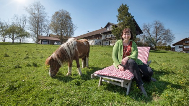 Wohnen im Landkreis Starnberg: Doris Kremser will auf dieser Wiese bei ihrem Bauernhof acht Tiny Houses errichten.