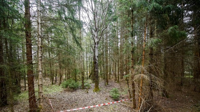 Streit um Windräder im Forst: Sollen im Ebersberger Forst Windräder aufgestellt werden? Diese Frage spaltet die Umweltaktivisten im Landkreis.