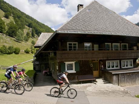 Mountainbike-Runde um den Feldberg, Rochau