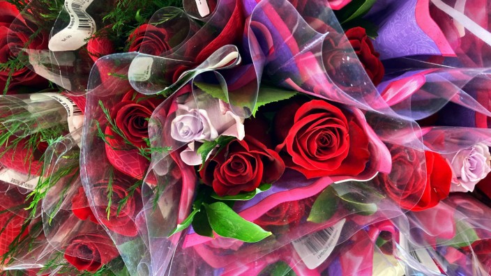 Muttertag: Liebesgrüße aus der Folie: Rosen, besonders von der Tankstelle, unbedingt auspacken vor der Übergabe.